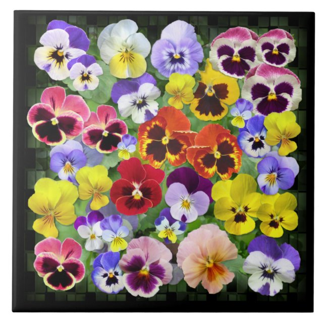 Pansy Beauty Fliese (Vorderseite)