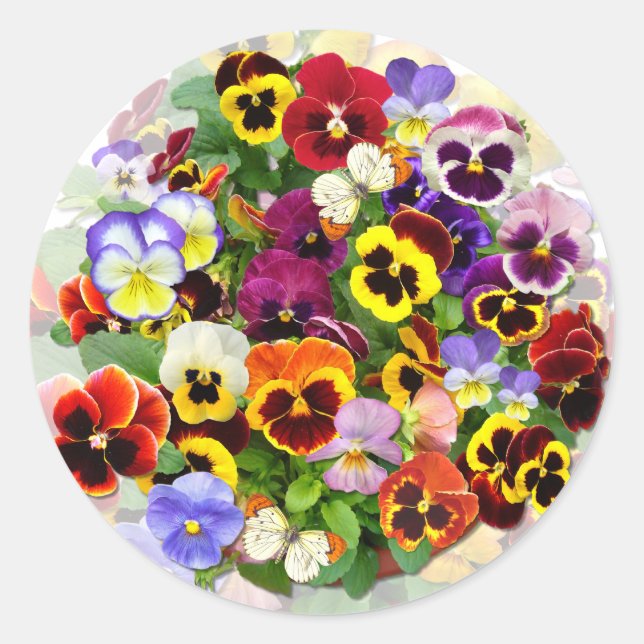 Pansy Beauty mit Schmetterlingen Runder Aufkleber (Vorderseite)