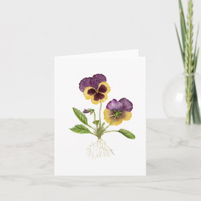 Pansy Blank Card Dankeskarte (Vorderseite)
