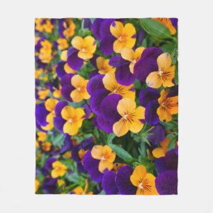 Pansy Bloom: Garden Beauty Nah-up. Fleecedecke