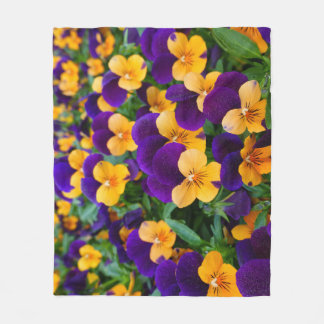 Pansy Bloom: Garden Beauty Nah-up. Fleecedecke