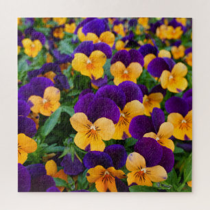 Pansy Bloom: Garden Beauty Nah-up. Puzzle