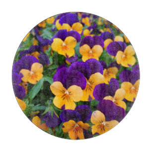 Pansy Bloom: Garden Beauty Nah-up. Schneidebrett