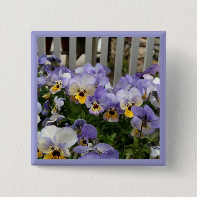 Pansy-Blues-Zaun Button (Vorderseite)