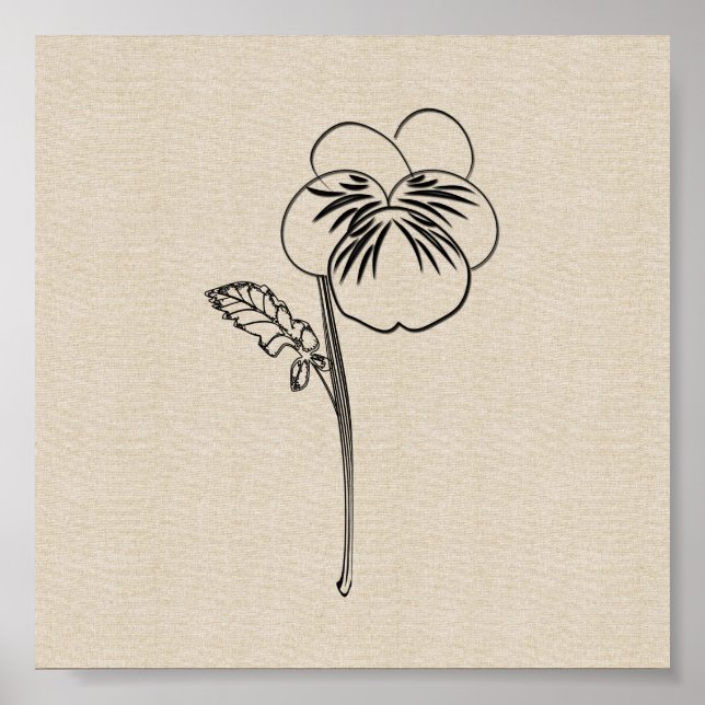Pansy Blume Poster (Vorne)