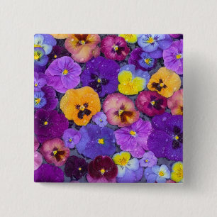 Pansy Blume schwimmen im Vogelbad mit Taube Button