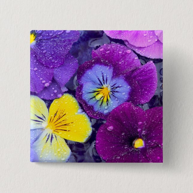 Pansy Blume schwimmen im Vogelbad mit Taube Button (Vorderseite)