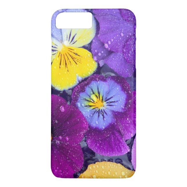 Pansy Blume schwimmen im Vogelbad mit Taube Case-Mate iPhone Hülle (Rückseite)
