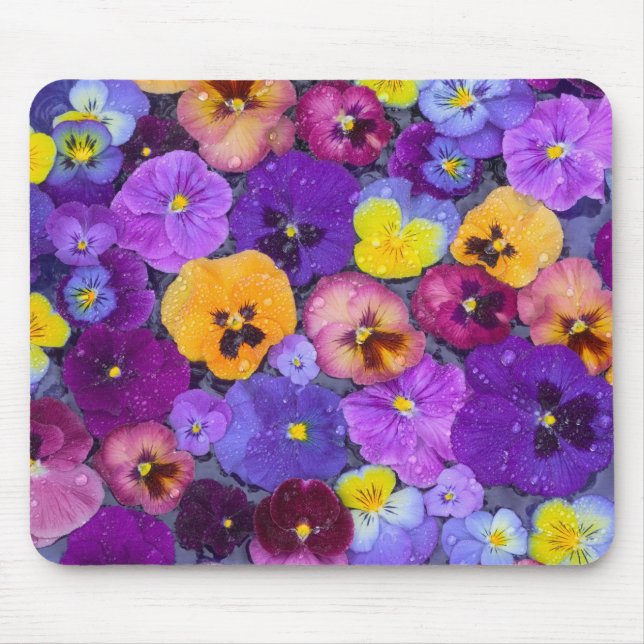 Pansy Blume schwimmen im Vogelbad mit Taube Mousepad (Vorne)