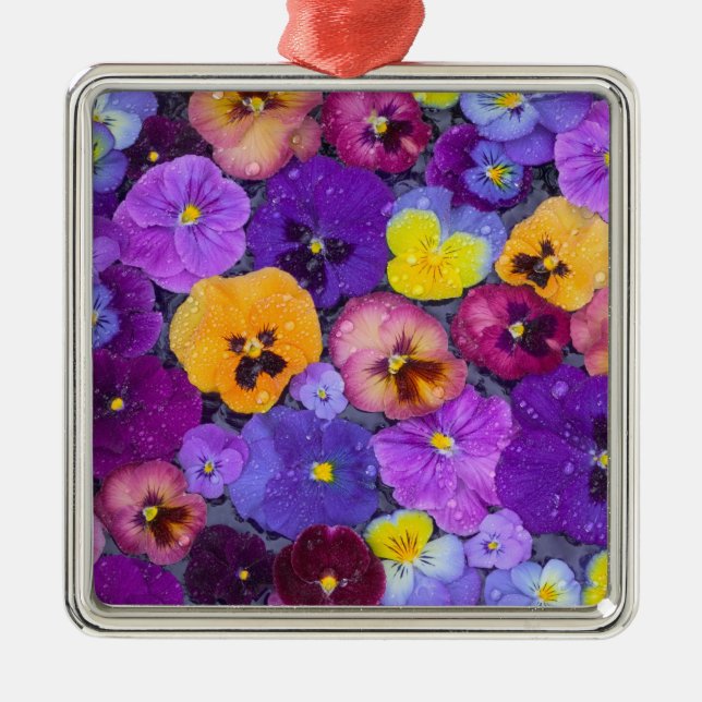 Pansy Blume schwimmen im Vogelbad mit Taube Silbernes Ornament (Vorne)