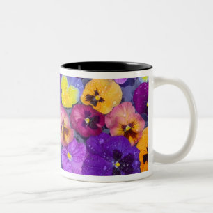 Pansy Blume schwimmen im Vogelbad mit Taube Zweifarbige Tasse