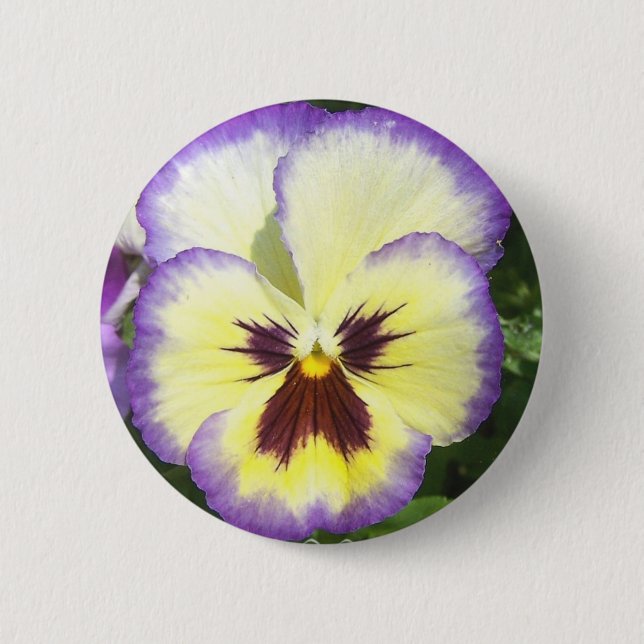 Pansy-Blume stellt ringsum Knopf dar Button (Vorderseite)