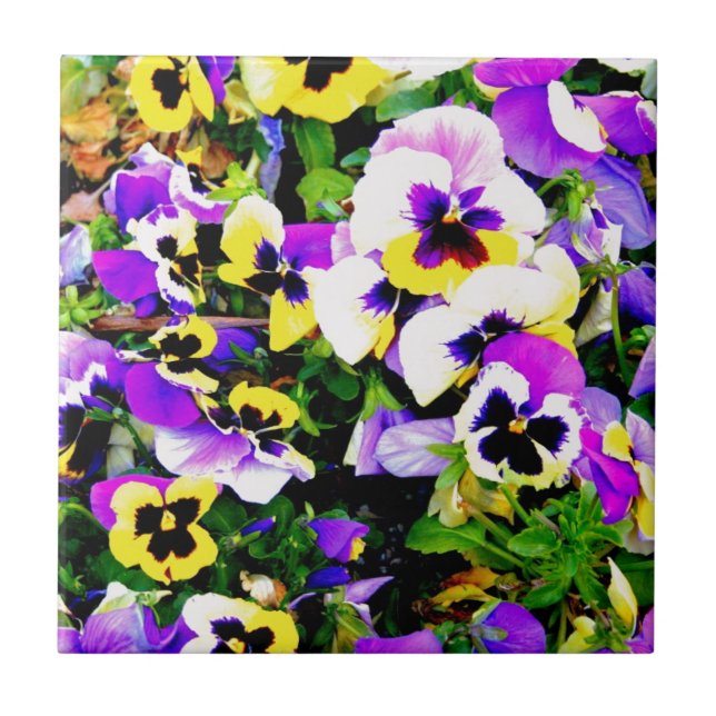 Pansy-Blumen Fliese (Vorderseite)