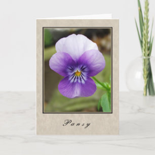 Pansy - Blumenserie Karte
