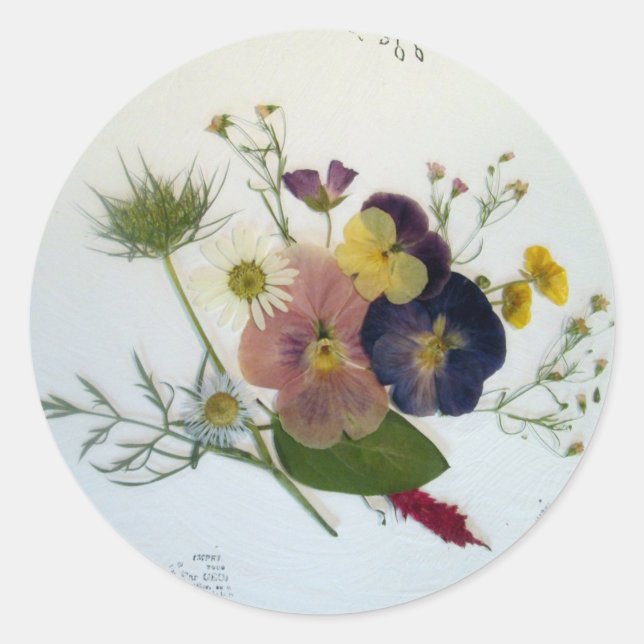 Pansy Bouquet Sticker (Vorderseite)