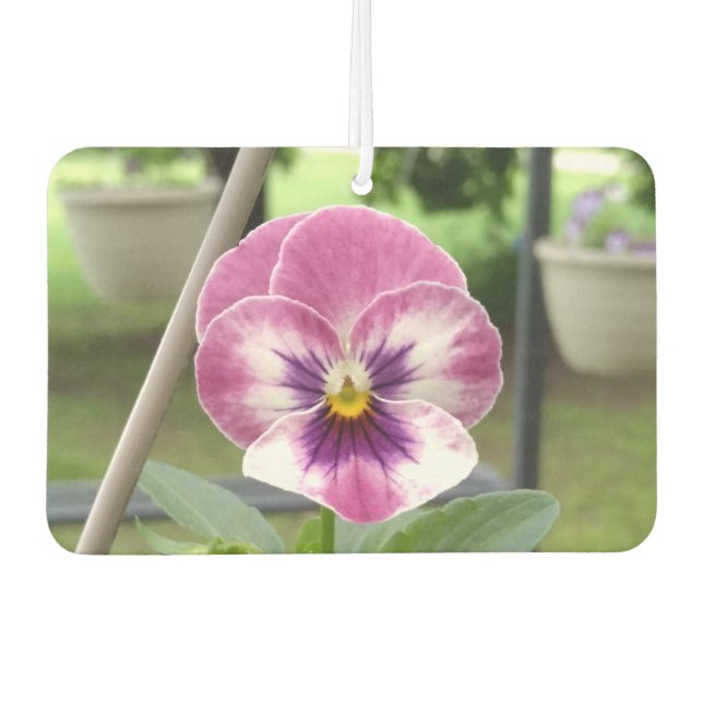 Pansy Car Air Freshener (rosa & Lila) Autolufterfrischer (Vorderseite)