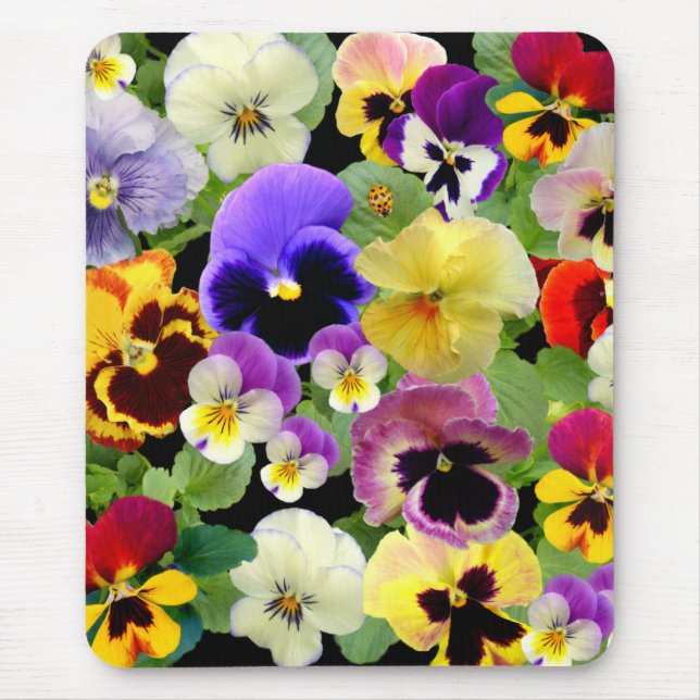 PANSY DELIGHT MOUSEPAD (Vorne)