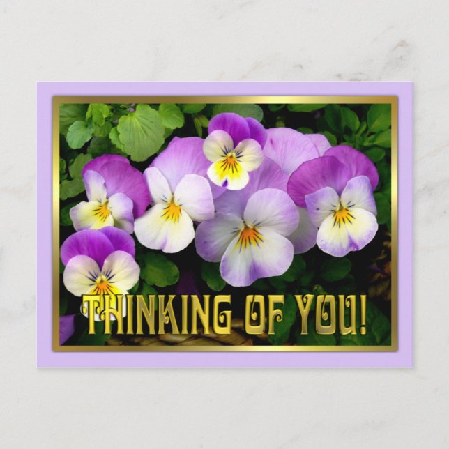 Pansy ~ Denken ~ Postcard Postkarte (Vorderseite)