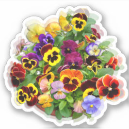 Pansy Display Custom Cut Vinyl Sticker