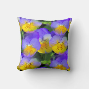 Pansy echos kissen