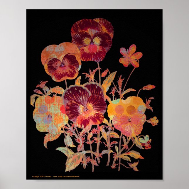 Pansy Exotica 8x10 Poster (Vorne)