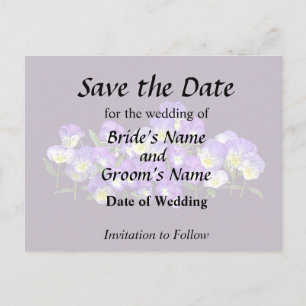 Pansy Family Wiedersehen Ankündigungspostkarte