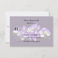 Pansy Family Wiedersehen