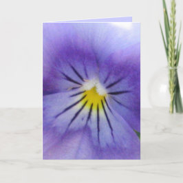 Pansy Karte
