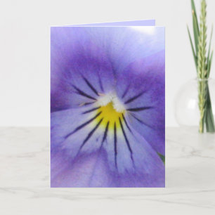 Pansy Karte