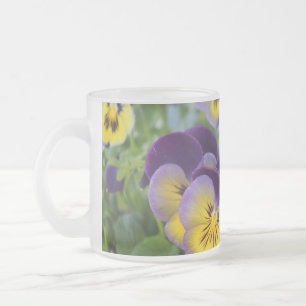 Pansy mattiert Cup Mattglastasse