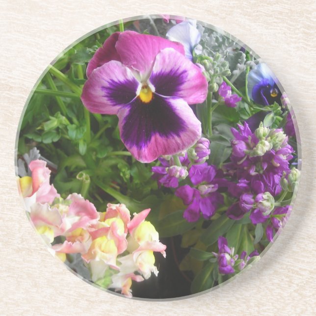 Pansy n'friends getränkeuntersetzer (Vorne)