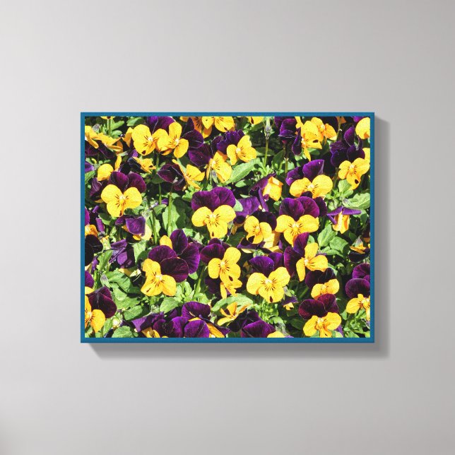 Pansy Overload Stretched Canvas Print Leinwanddruck (Vorderseite)
