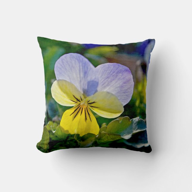 Pansy Perfection Kissen (Vorderseite)