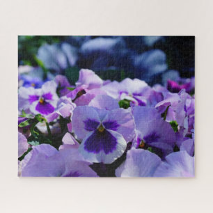 Pansy Pizazz! Puzzle