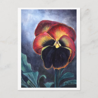Pansy Postcard Postkarte