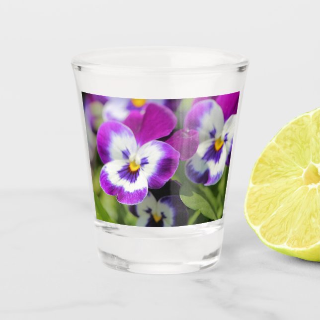 Pansy Schnapsglas (Vorderseite)