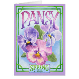 Pansy Seeds - leere Karte