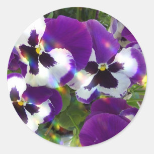 Pansy Sticker