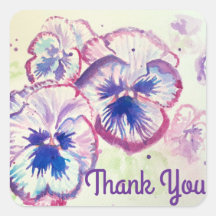 Pansy Stiefmütterchen Lila Blume Floral Pink Viele