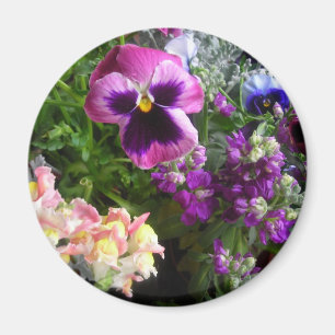 Pansy und Freunde Magnet