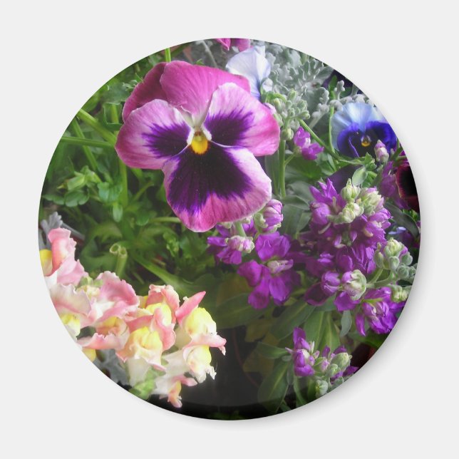 Pansy und Freunde Magnet (Vorne)