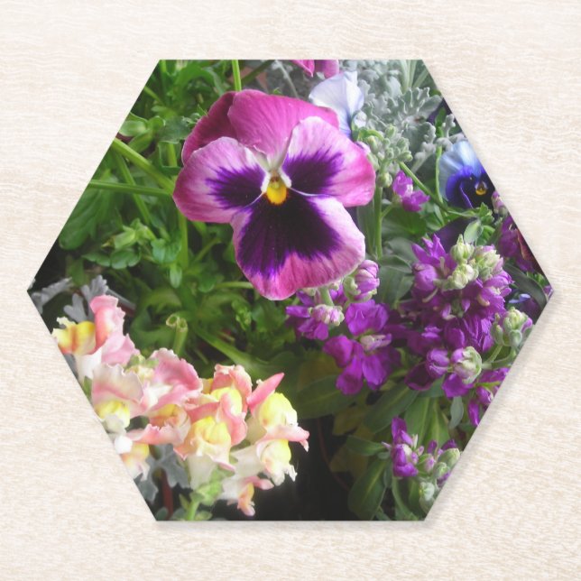 Pansy und Freunde Untersetzer (Vorderseite)