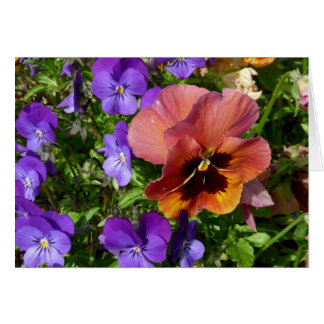 Pansy-und Veilchen-Karte