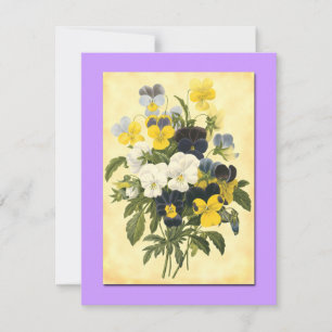 Pansy Violets Blank Botanische Art Cards Karte