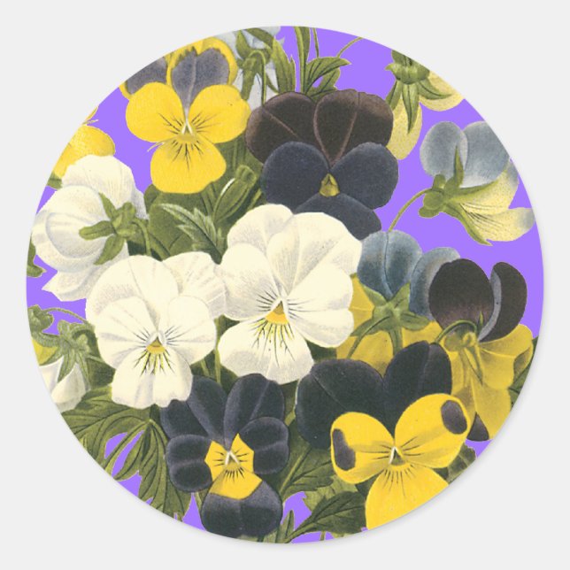 Pansy Violets Sticker der botanischen Kunst (Vorderseite)