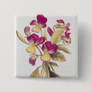 Pansy, von "La Guirlande de Julie", c.1642 Button