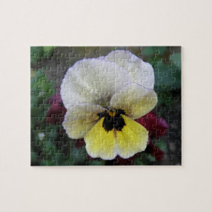Pansy White and Yellow Puzzle