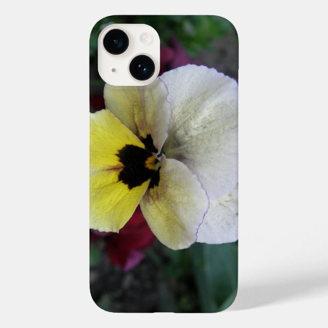 Pansy White und Gelb Case-Mate iPhone Hülle (Rückseite)