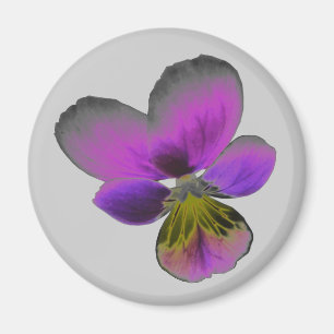 Pansy Wild Dark Lila Magnet