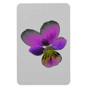 Pansy Wild Dark Lila Premium Magnet